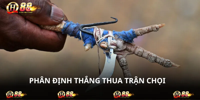 Cách chơi đá gà cựa dao Philippines đọc kết quả thua
