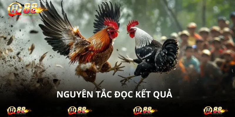 Đọc kết quả kèo buộc phải tuân theo tuyên bố của trọng tài